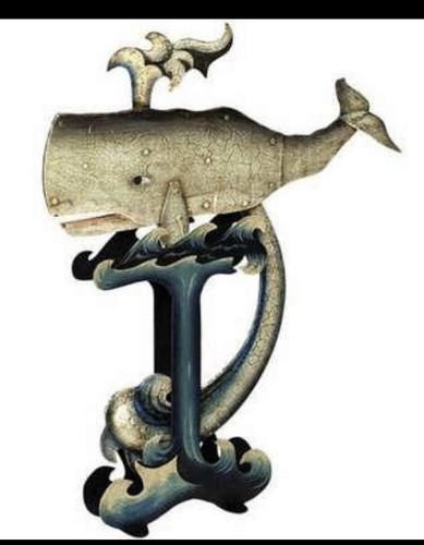 Whale balance toy motion - balance,
