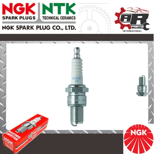 Ngk racing spark plug - 1x,