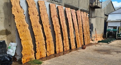 Apple,Cherry,Walnut,Oak