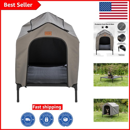 Stylish portable dog - stylish, 2-in-1