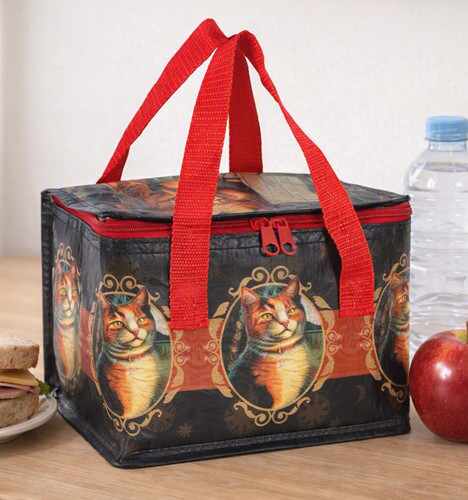 Adventure awaits cat - adventure,