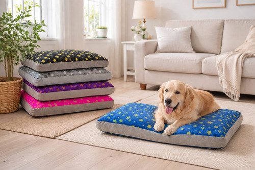 Luxury stars design dog pet - luxury,