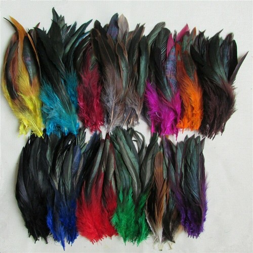 Rooster tail feathers craft - rooster, feathers,