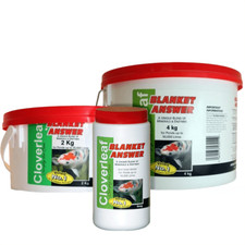 Blanket Answer Cloverleaf  |