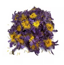 Nymphaea Caerulea Blue Lotus