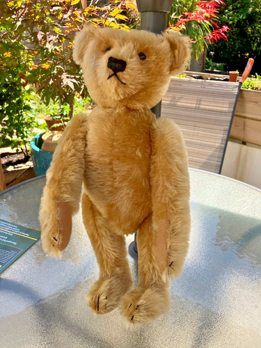 1906 replica mohair steiff - replica,