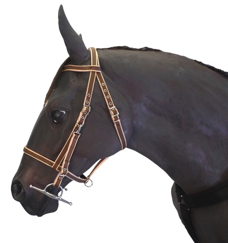 Official libby endurance - official,