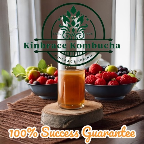 Kombucha scoby premium - kombucha,
