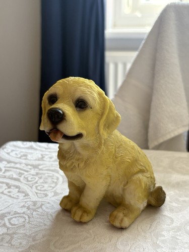 Golden labrador retriever dog - labrador,