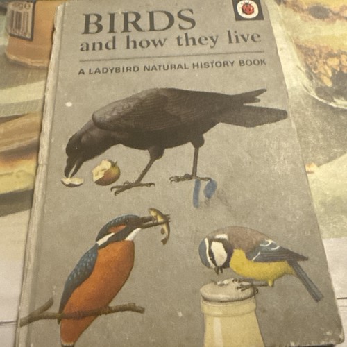 Vintage ladybird book - book, "birds
