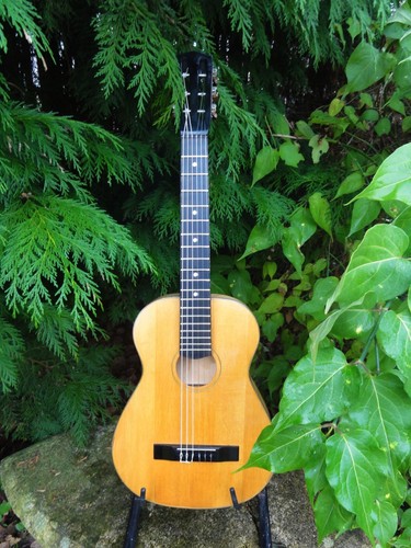 Post war ussr parlour acoustic - ussr,