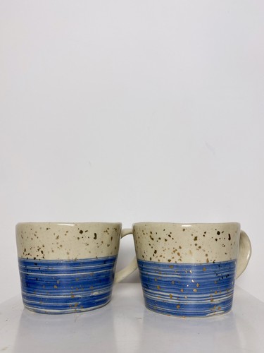 Joyye blue stripe gold - 2x,
