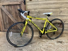 Kids Carrera TDF.JR LTD road