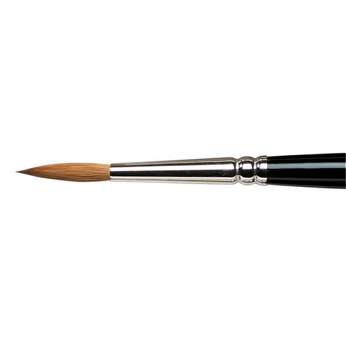 Winsor and newton - newton,