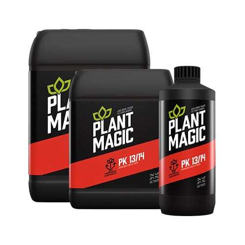 Plant magic unique - magic,