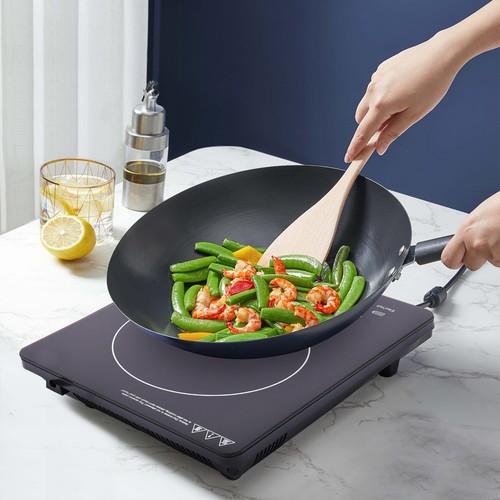 2200w portable induction - 2200w,