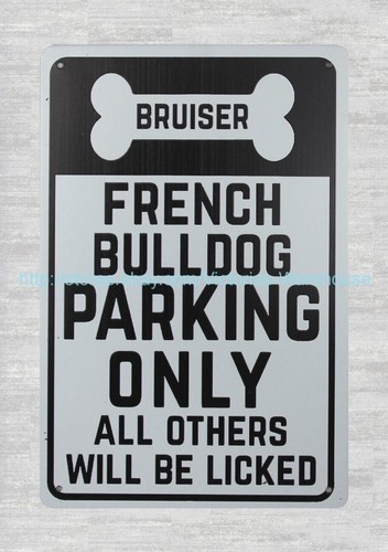 Bruiser french bulldog - bruiser, parking