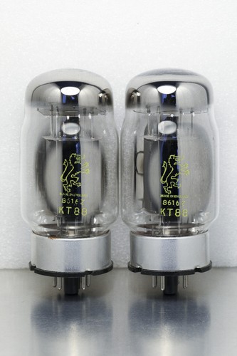Rare nos gold - gold, kt88
