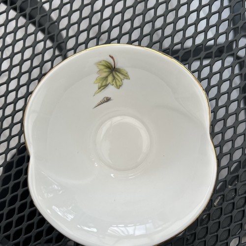 Aynsley natures delights - aynsley, dish