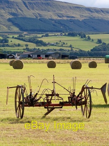 Photo 6x4 horse - photo, hay
