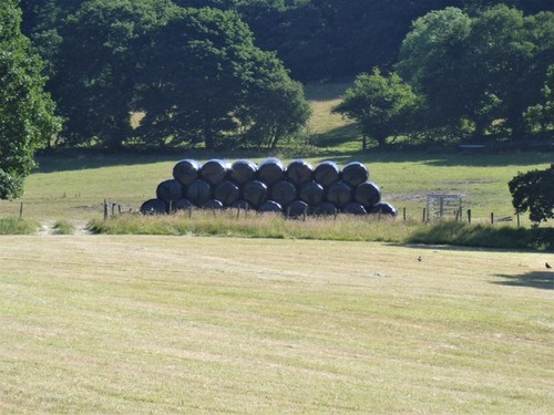 Photo plastic wrapped bales - wrapped,