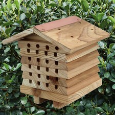 Solitary Bee Hive Bee Keeping Mason Beehive Beekeeping Insect Box Hotel House