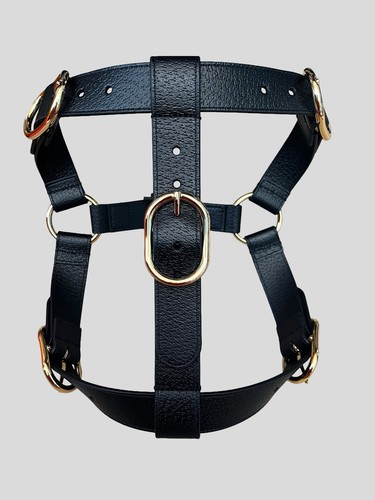 Gucci pet dog interlocking - gucci, gg