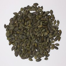 Hammykins Pumpkin Seeds Premium Hamster Food treat Syrian Dwarf Pet