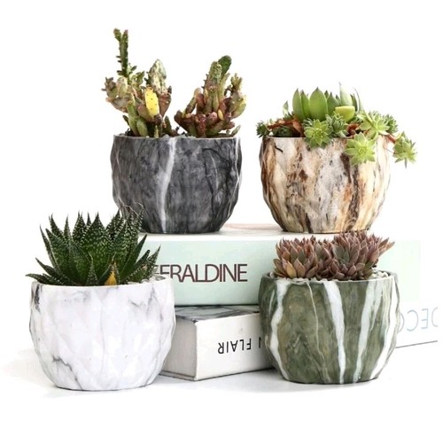 Marbling ceramic succulent - marbling,