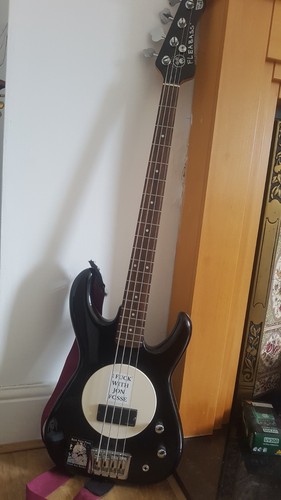 Bass guitar fleabass wild - bass,