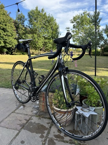 Specialized tarmac carbon road - specialized,