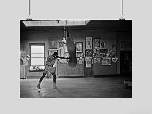 Muhammad ali poster boxing - muhammad,
