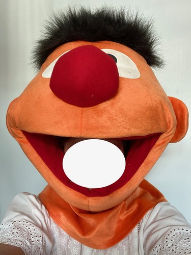 Adult ernie mascot - adult, fancy