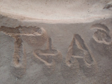 Two Pounds Undried Organic Mixed Oak Sawdust for Gardening, Wood Working, etc.