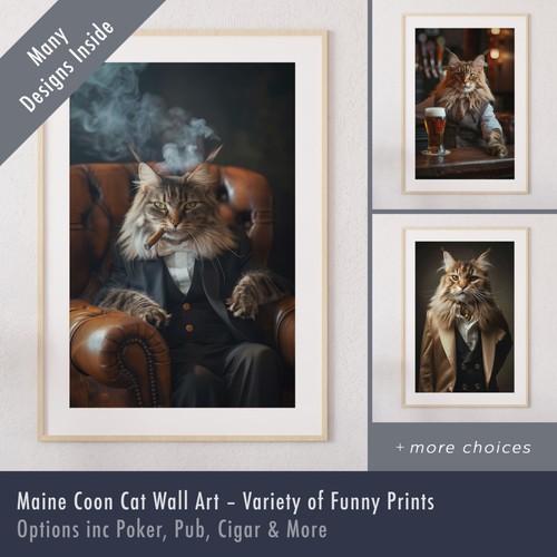 Maine coon cat - –, funny
