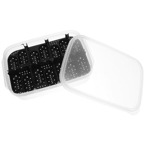Reptile incubation egg - reptile, trays