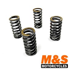 Yamaha Clutch Springs XV250