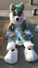 Husky Dog Fox Mascot Costume Long Fur Furry Costume Wolf Cosplay Fursuit-
