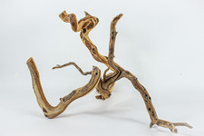 Manzanita Driftwood Branch 26"