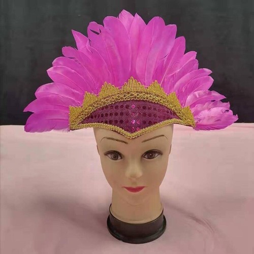 Feather headdress - feather,