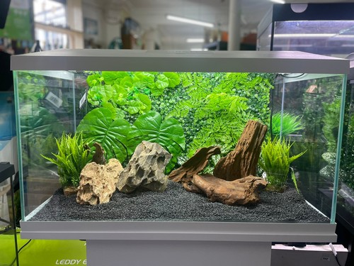 Large planted aquarium - large, aquarium/reptile