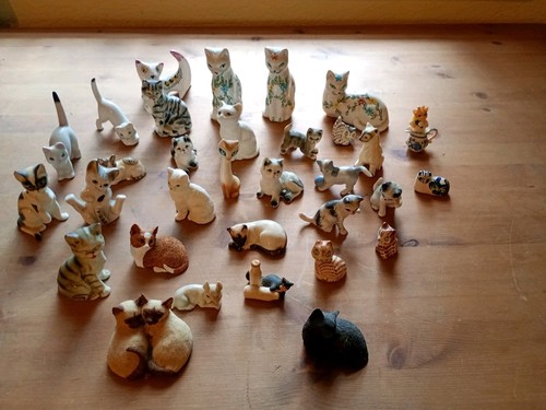 Large collection cat - collection, animals