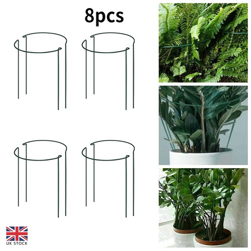 Pack bow plant support - pack,