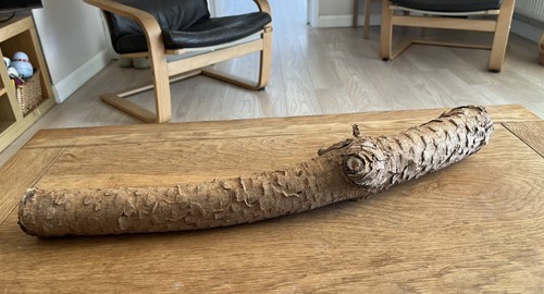 60cm log branch - branch, bark