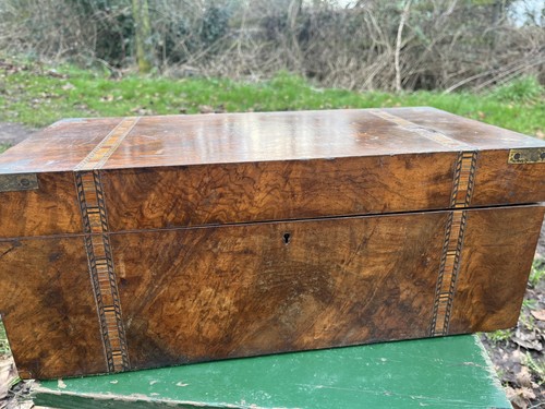 Antique victorian burr - burr, walnut
