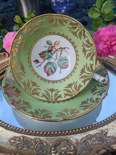 Royal grafton teacup saucer - &,