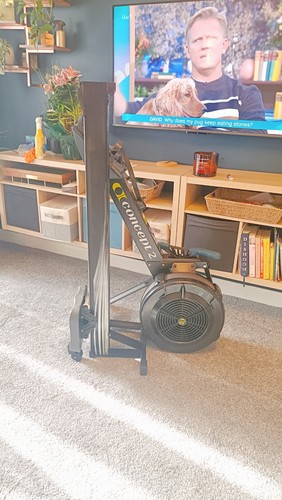 Concept rowing machine model - concept,