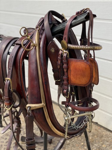 Stunning brown horse pony - horse,