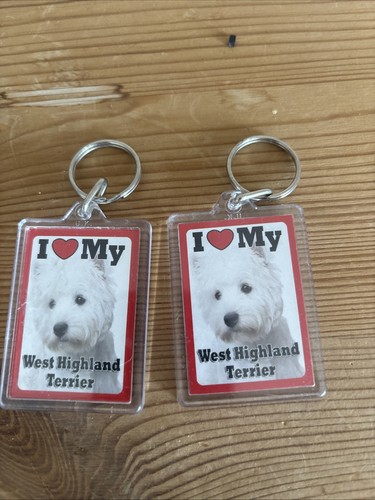 West highland terrier - terrier, key