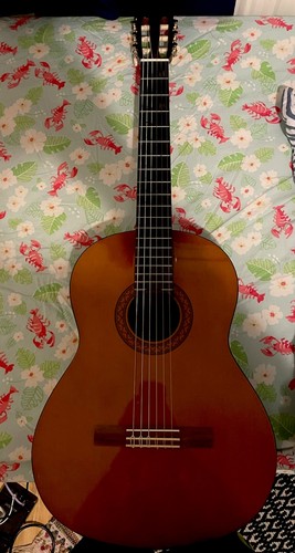 Yamaha acoustic guitar comes - yamaha, (comes